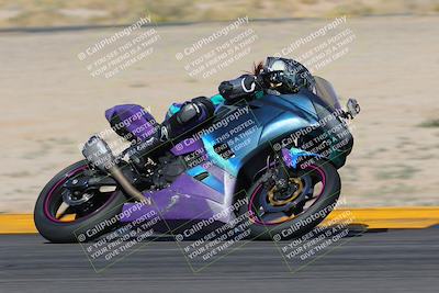 media/Feb-04-2023-SoCal Trackdays (Sat) [[8a776bf2c3]]/Turn 16 Set 2 (1125am)/